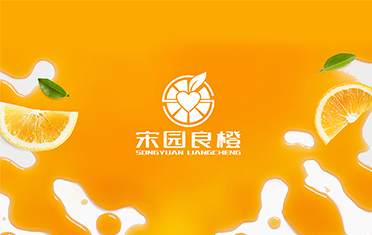 某良橙——商丘LOGO设计